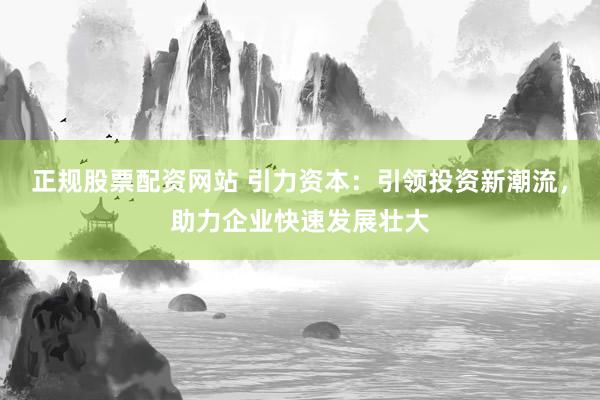 正规股票配资网站 引力资本：引领投资新潮流，助力企业快速发展壮大