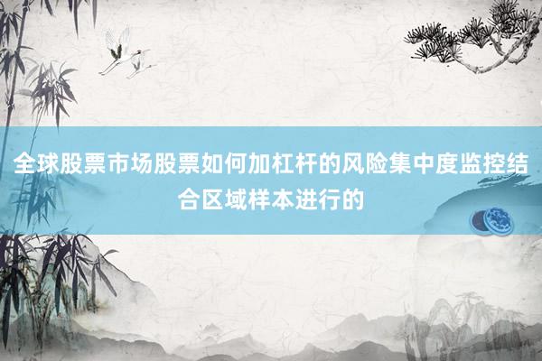 全球股票市场股票如何加杠杆的风险集中度监控结合区域样本进行的
