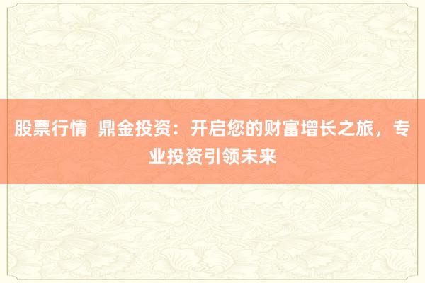 股票行情  鼎金投资：开启您的财富增长之旅，专业投资引领未来